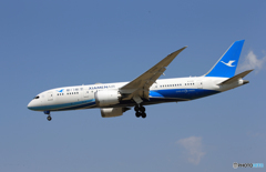 「青空」 アモイ航空 787-8  B-2769 着陸します