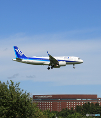 「青い空」が一番 ANA A320-271n JA211A 着陸