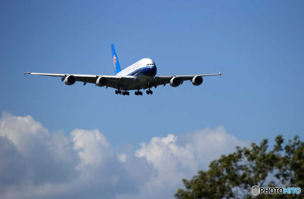 「蒼空」☮夏雲と Airbus  A380 見る