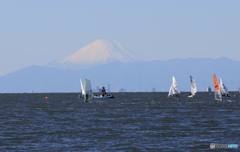 「青が大好き」東京湾から見る・富士山