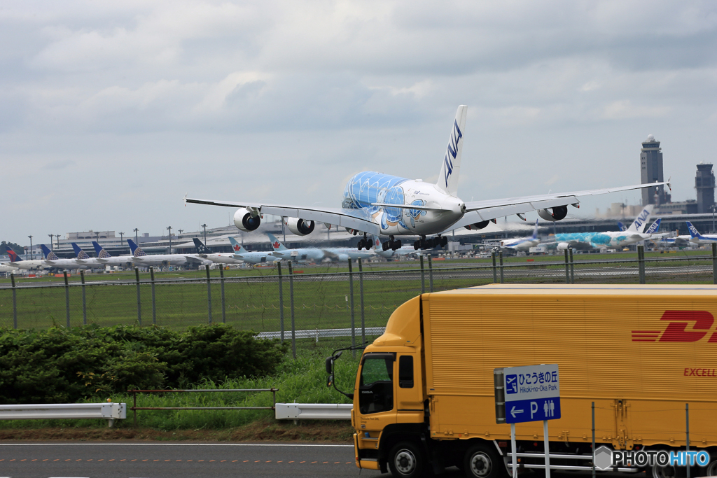 「くもり」 Flying Honu ① ② ２ショット  Landing