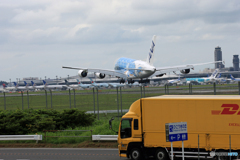 「くもり」 Flying Honu ① ② ２ショット  Landing