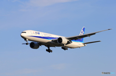 「青い日」ANA 777-381 JA736A  Landing