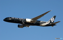 「青空だぁ」☮１機しか無い ・「All Blacks」☮