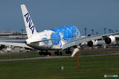 「そらー」ANA A380-841 Flying Honu 着陸