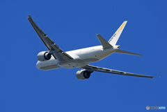 「青い空」が一番AEROLogic 777-FZN D-AALA飛ぶ