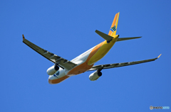 「青空」 CEBU A330-343 RP-C3343 離陸