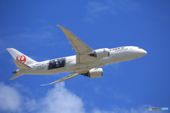 「青空」 Japan Airlines 787-8 Takeoff 
