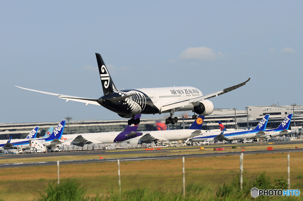 「はれ」 Air NZ' 787-9 ZK-NZH 到着