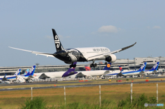 「はれ」 Air NZ' 787-9 ZK-NZH 到着