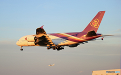 「ブルー」THAI A380-841 HS-TUD   W 到着です