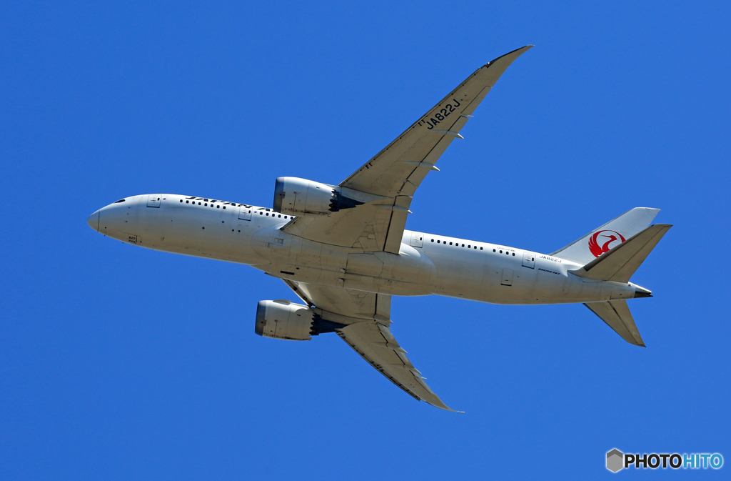 「青が好き」 JAL 787-8 JA822J 離陸です