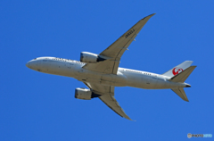 「青が好き」 JAL 787-8 JA822J 離陸です