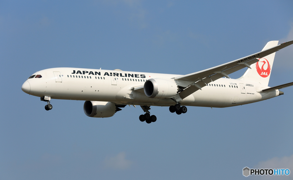 「青が大好き」 JAL 787-9 JA863J  Landing 
