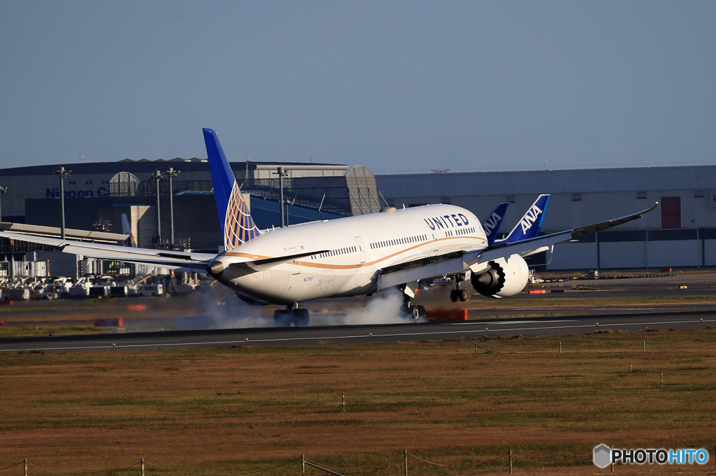 「Blue」UNITED 787-9 N27957  Landing