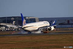 「Blue」UNITED 787-9 N27957  Landing