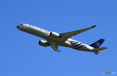 「空色」Vietnam A350-941 VN-A897 離陸します