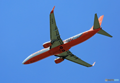 「そらー」 JEJU 737-800 HL8033 離陸