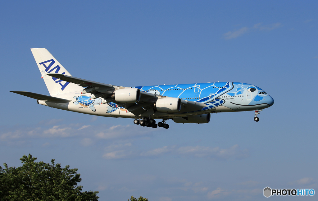 「良い天気」Flying Honu A380-841 JA381A お帰り？