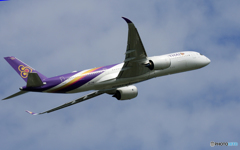 「青が大好き」 THAI A350-941 HS-THN 飛ぶ