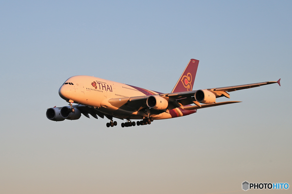 「群青色」THAI A380-841 HS-TUD  Landing