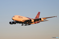 「群青色」THAI A380-841 HS-TUD  Landing