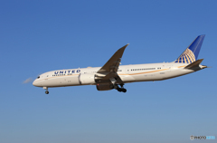 「すかい」 UNITED 787-9 787-9 N19951