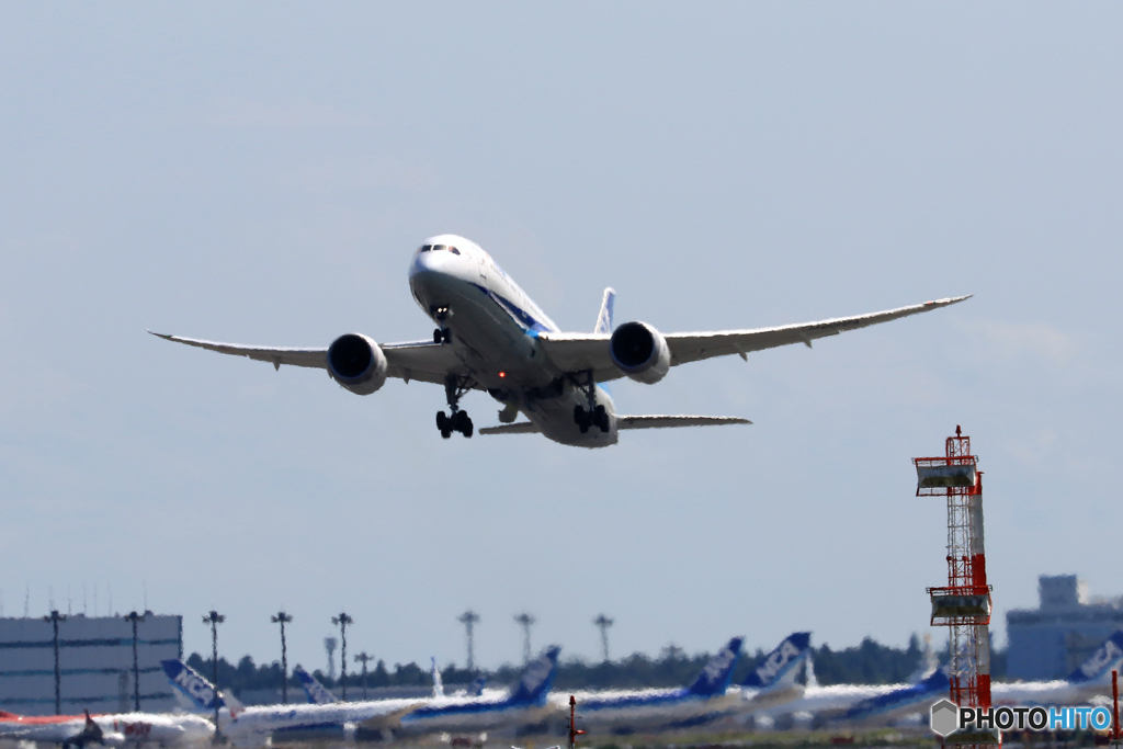 「青色」 ANA 787-8 JA839A Takeoff
