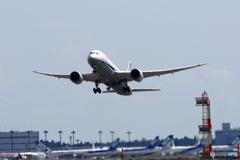 「青色」 ANA 787-8 JA839A Takeoff