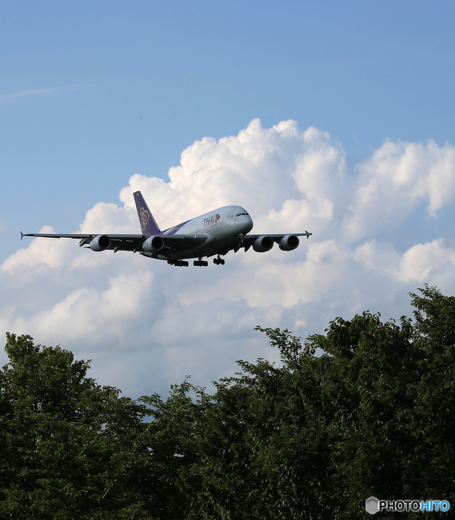 「あおいそら」 THAI A380-841 HS-TUC 着陸