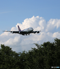 「あおいそら」 THAI A380-841 HS-TUC 着陸