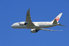 「青色が好き」 JAL 787-8 JA838J 飛び立ちです