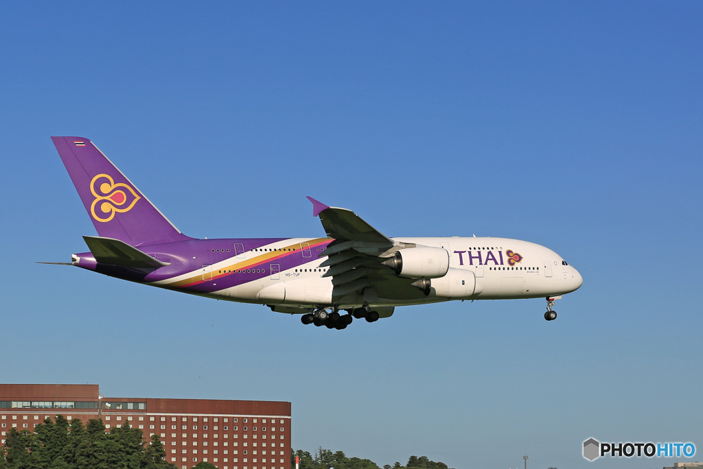 ☀「青い空」が一番 THAI A380-841 HS-TUF