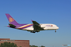 ☀「青い空」が一番 THAI A380-841 HS-TUF