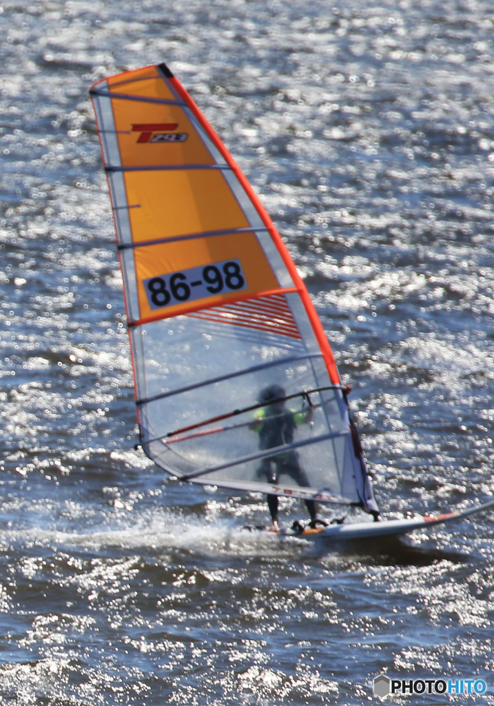「青色が好き」風の流れに乗る
