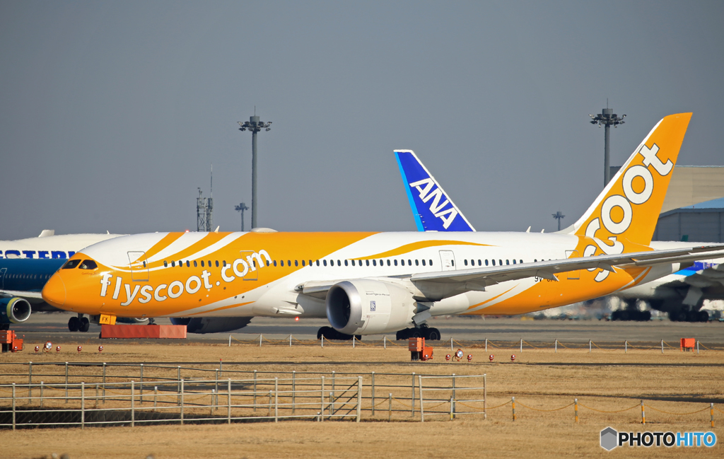 「令和」 scoot 787-8 9V-OFK 記念