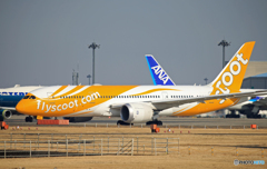 「令和」 scoot 787-8 9V-OFK 記念