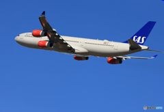 「青が大好き」 SAS A340-313 OY-KBA 出発です