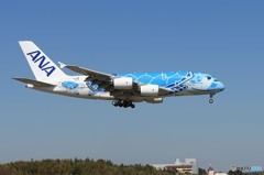 「平成」-「令和」 [Flying Honu] A380-841 JA381A
