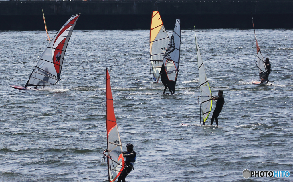 「すかい」穏やかに過ごす (1)