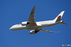 「青色」 JAL 787-8 JA840J Takeoff 
