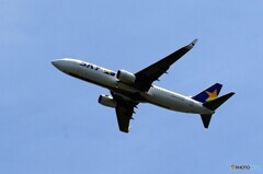 「晴れ」SKY成田では4年ぶりの撮影 Takeoff