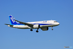「ぶるー」　ANA A320neo JA211A 到着です