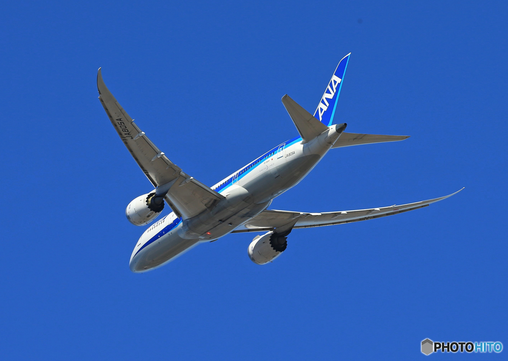 「群青色」 ANA 787-8 JA805A 飛び立ちです