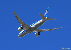 「群青色」 ANA 787-8 JA805A 飛び立ちです