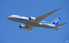 「はれー」 ANA 787-8 JA878A 離陸 です