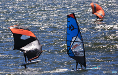 ☀「青い空」が一番　　風に乗ったね