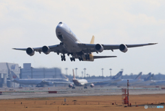 「青が大好き」 POLAR 747-8 N858GT 出発