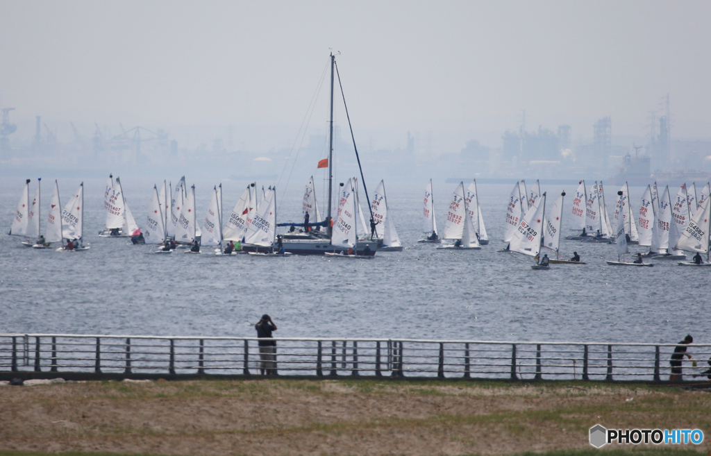 「ぶるー」検見川の浜・ヨットレースを観る