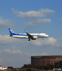 「青」 ANA A320-271N JA213A Landing 